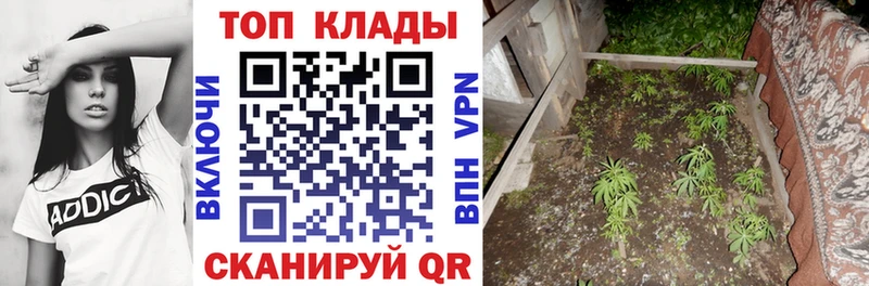 Купить наркотик Приволжск Альфа ПВП Гашиш Каннабис ТГК Кокаин