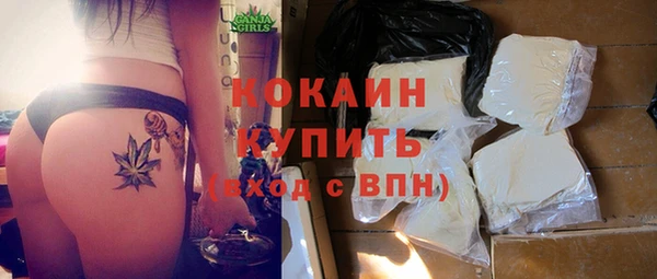 бошки Новозыбков