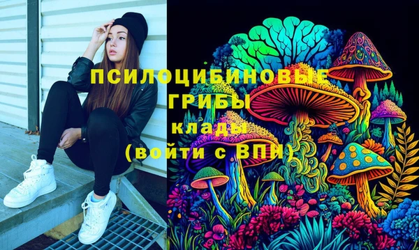 бошки Новозыбков