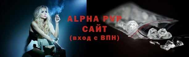 молекула духа Новокубанск