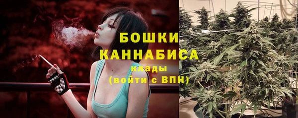 бошки Новозыбков