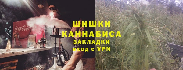 молекула духа Новокубанск